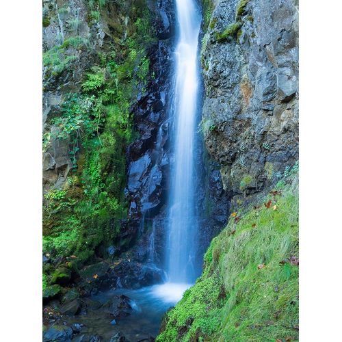Wild, Jamie and Judy 아티스트의 Oregon-Columbia River Gorge National Scenic Area-Warren Creek-at Hole in the Wall Falls작품입니다.